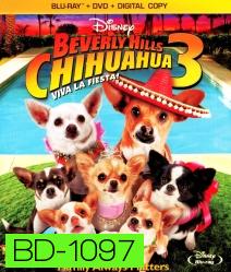 Beverly Hills Chihuahua 3 Viva La Fiesta! คุณหมาไฮโซ โกบ้านนอก 3