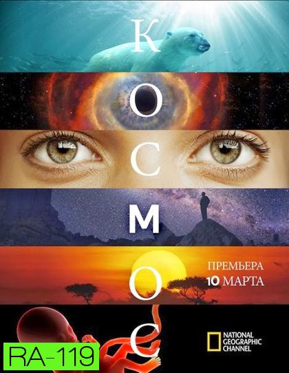 Cosmos A Spacetime Odyssey Season 1