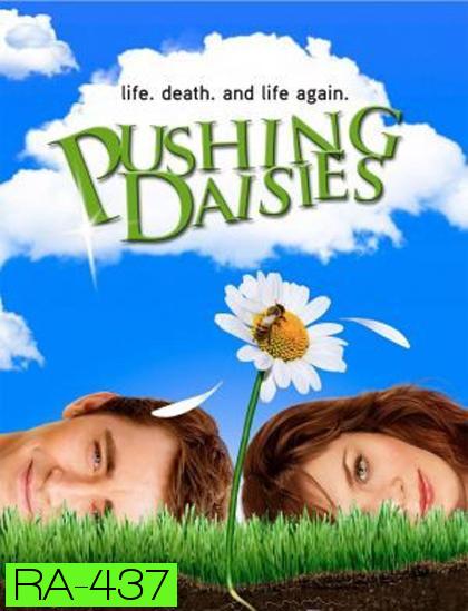 Pushing Daisies Season 1 : นักสืบสัมผัสมหัศจรรย์ ปี 1