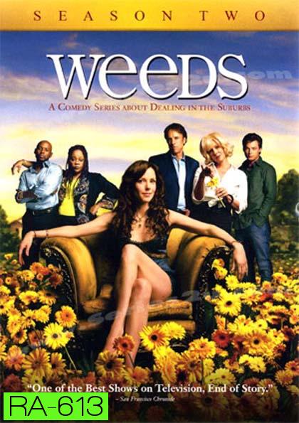 Weeds Season 2 : หม่ายชุลมุน ปี 2