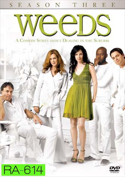 Weeds Season 3 : หม่ายชุลมุน ปี 3