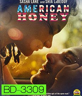 American Honey (2017) อเมริกัน ฮันนี่ (Master)