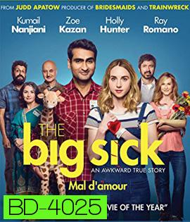 The Big Sick (2017) รักมันป่วย (ซวยแล้วเราเข้ากันไม่ได้)