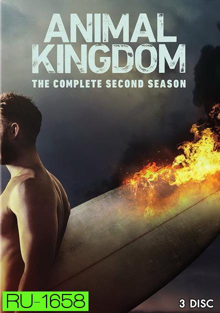 ANIMAL KINGDOM ตระกูลชั่ว ครอบครัวโจร SEASON 2 ( 13 ตอนจบ )