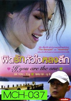 If You Are The One ผิดรักหัวใจหลงลึก 