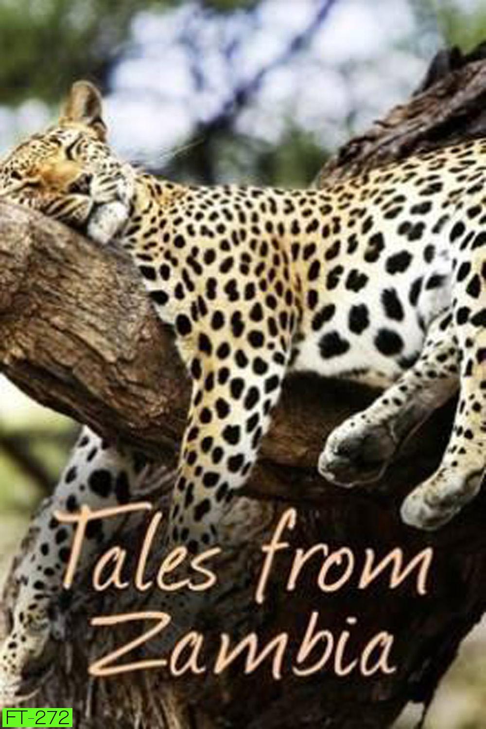 (ตอนที่ 5-7 ไม่มีซับ)Tales From Zambia เทพนิยายจากแซมเบีย (2016) 7 ตอน