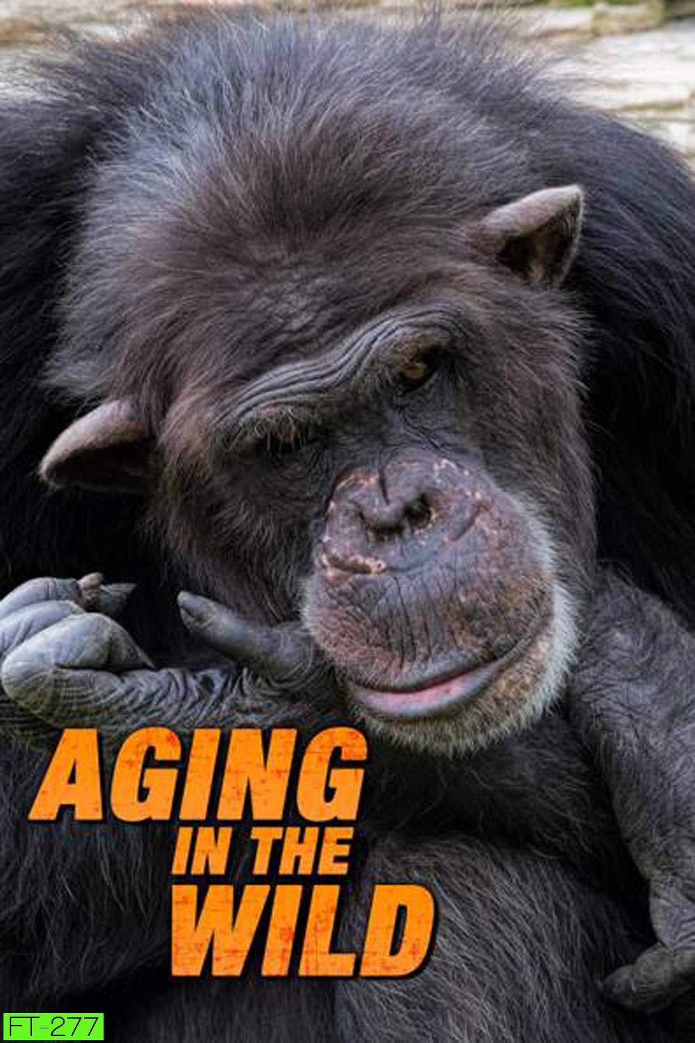 Aging in the Wild ช่วงชีวิตในป่าใหญ่ (2017) 5 ตอน