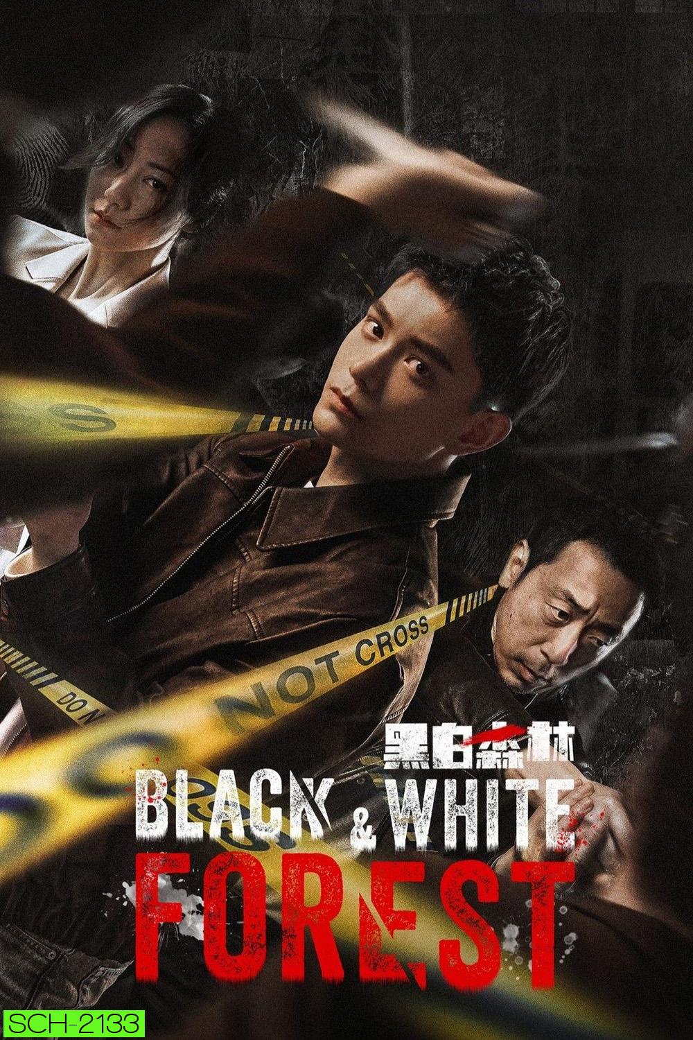 Black and White Forest ปมปริศนาป่าซ่อนเงื่อน (2024) 28 ตอนจบ