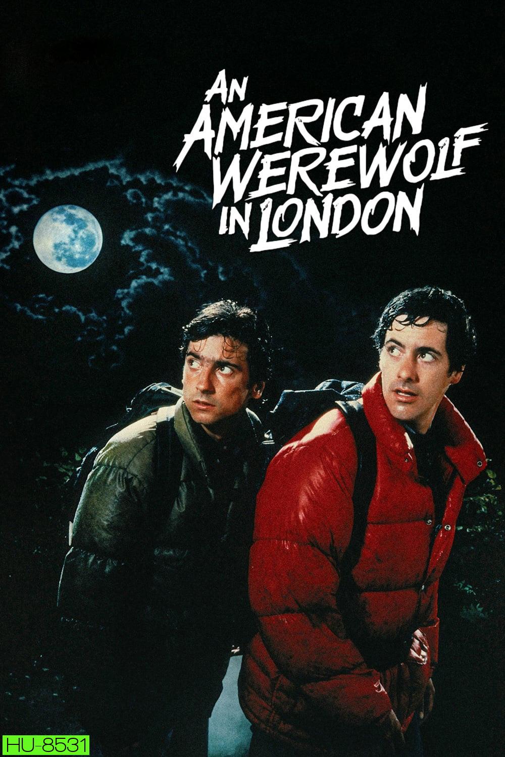 คนหอนคืนโหด An American Werewolf in London (1981)