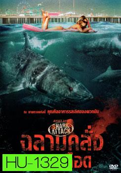 Jersey Shore Shark Attack ฉลามคลั่งทะเลเลือด