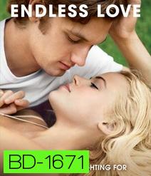 Endless Love รักนิรันดร์